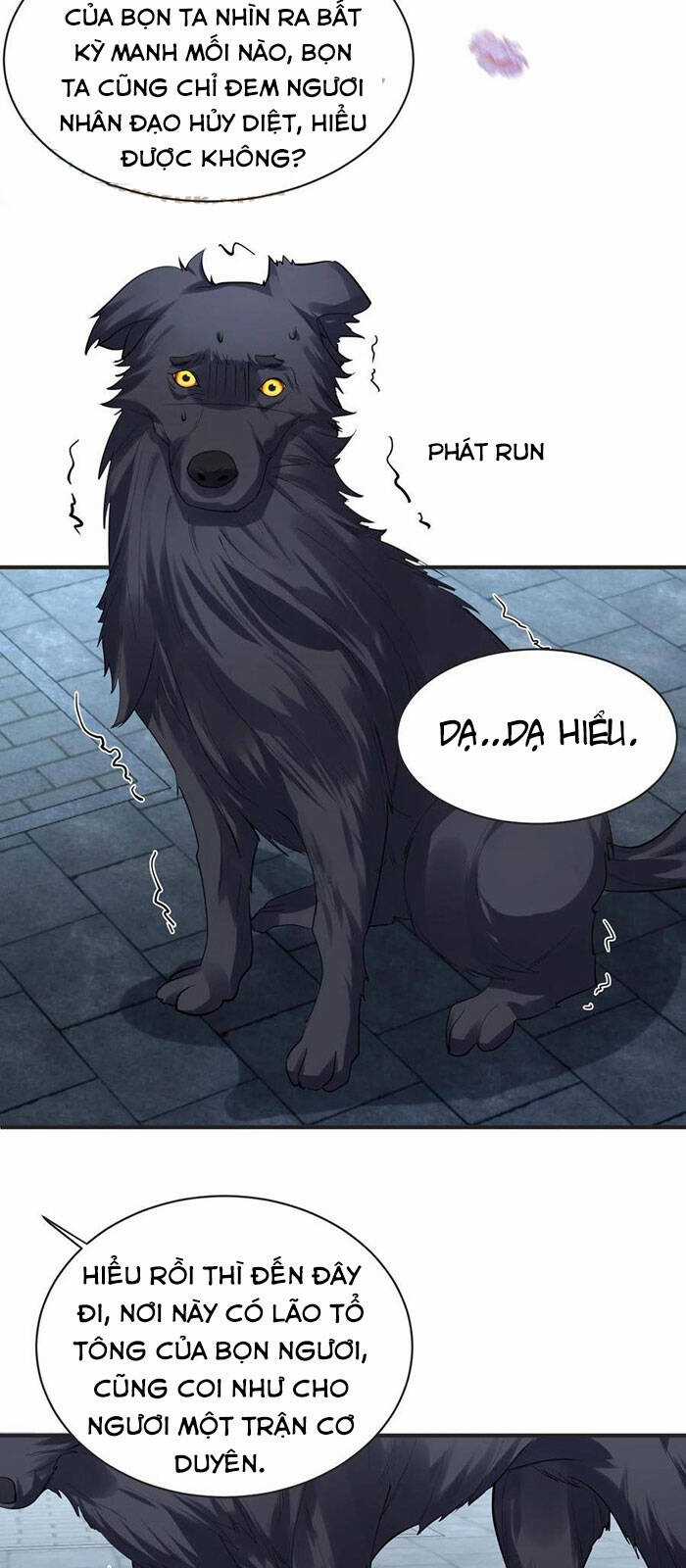 Ta Vô Địch Lúc Nào Chương 37 trang 11