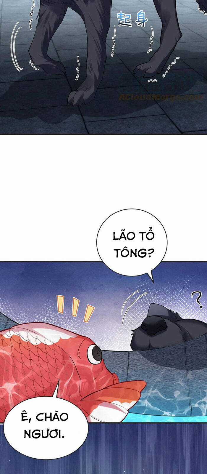 Ta Vô Địch Lúc Nào Chương 37 trang 12