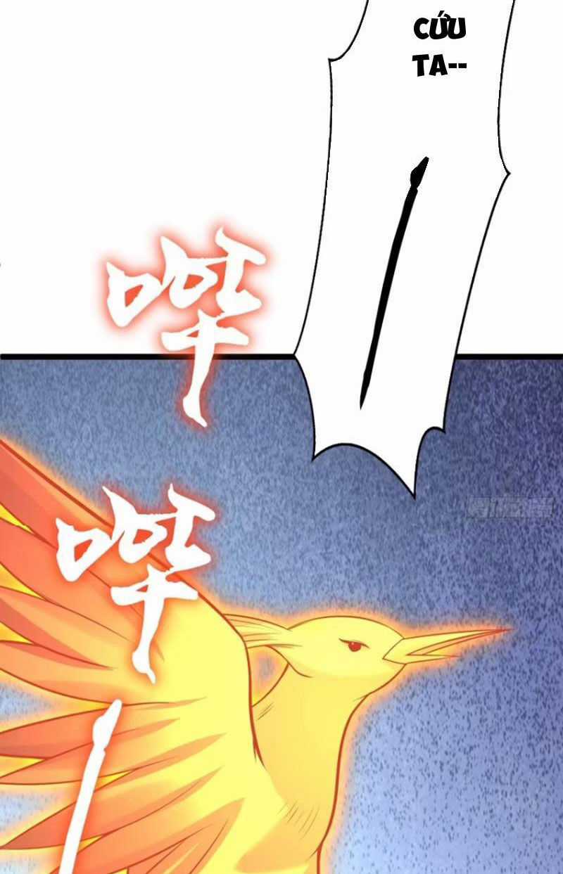 Ta Vô Địch Từ Ăn Chực Chapter 20 trang 33