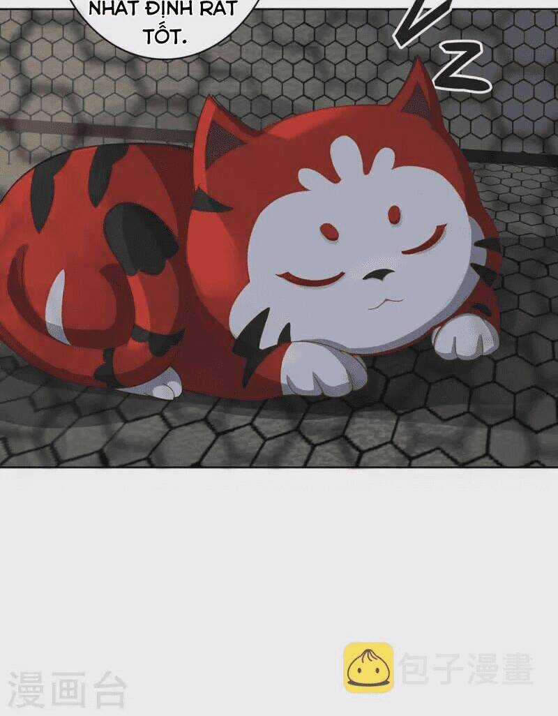 Ta Vốn Là Mèo Chapter 1.5 trang 11