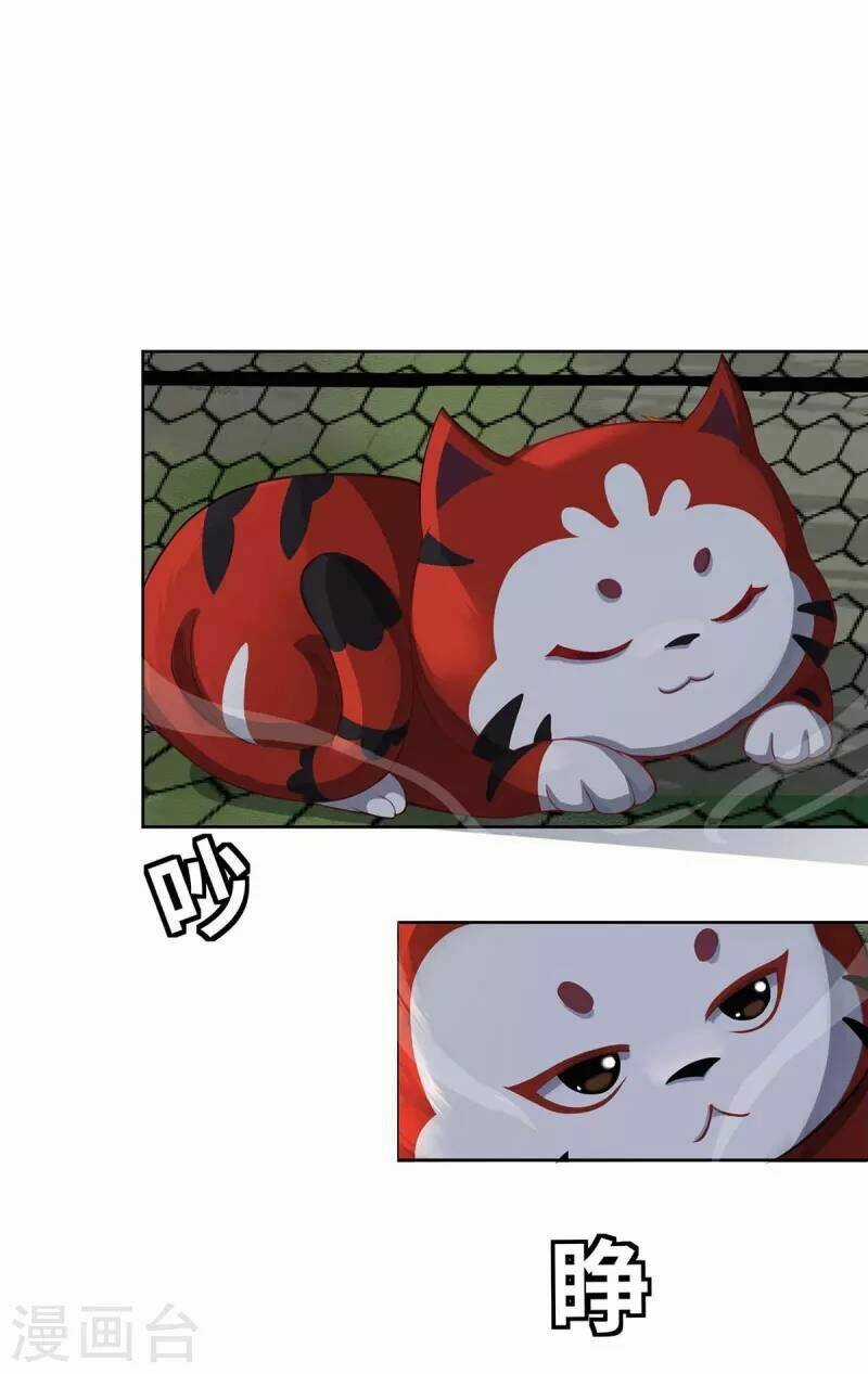 Ta Vốn Là Mèo Chapter 1.5 trang 19