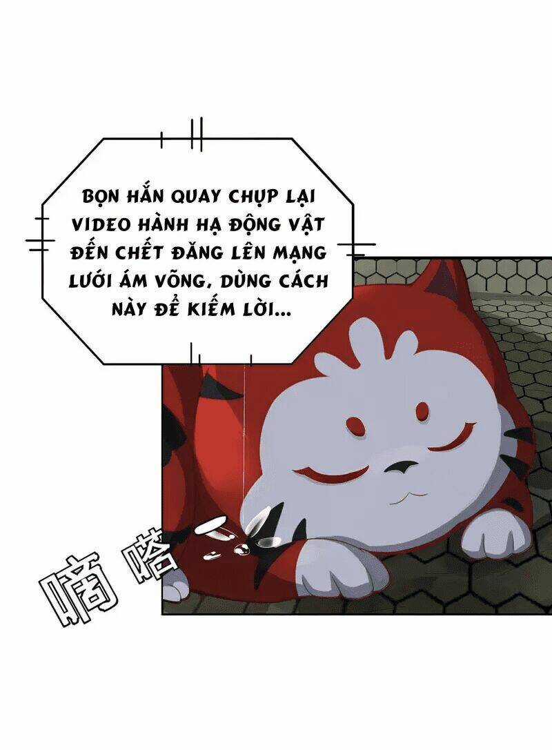 Ta Vốn Là Mèo Chapter 1.5 trang 2