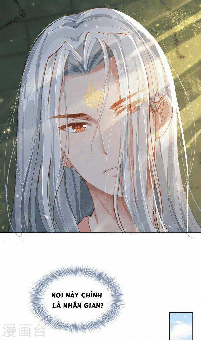 Ta Vốn Là Mèo Chapter 1.5 trang 27