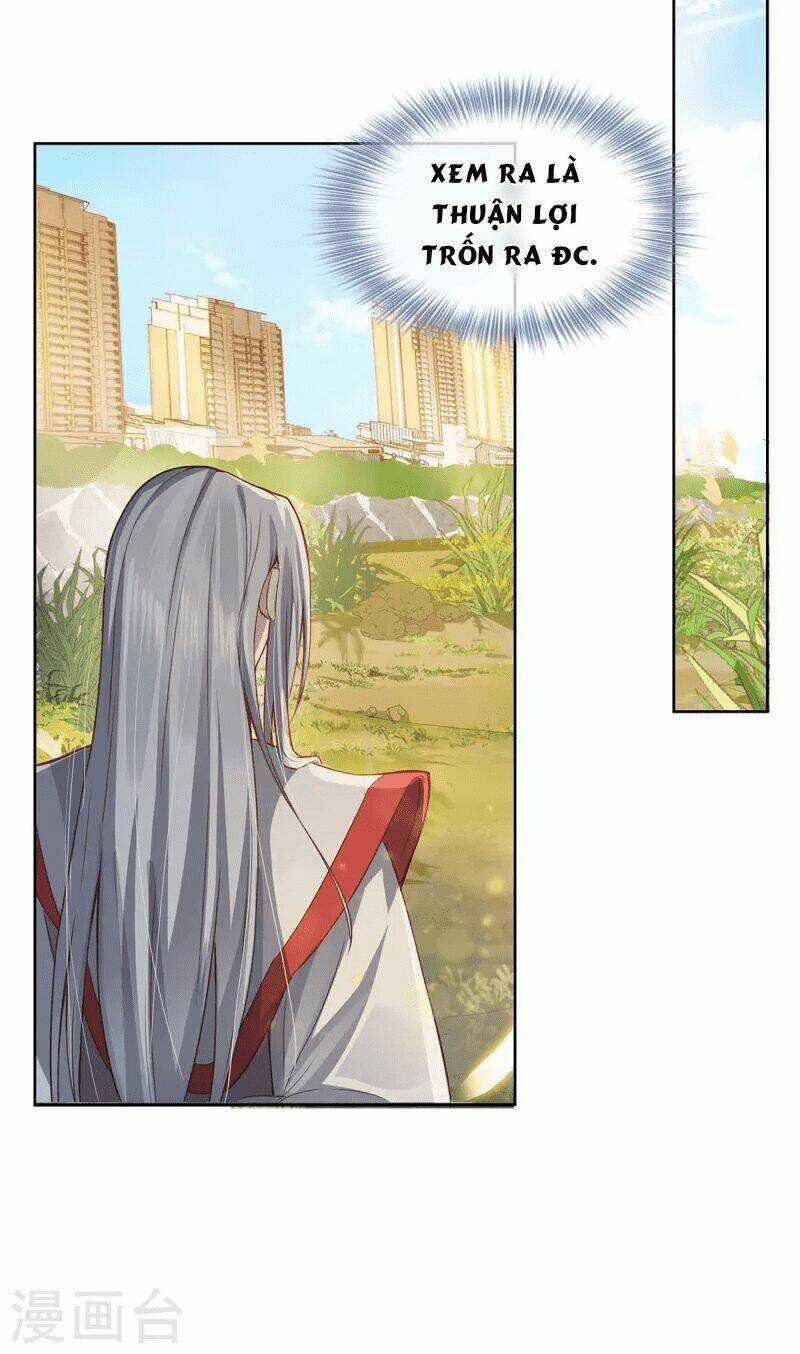 Ta Vốn Là Mèo Chapter 1.5 trang 28