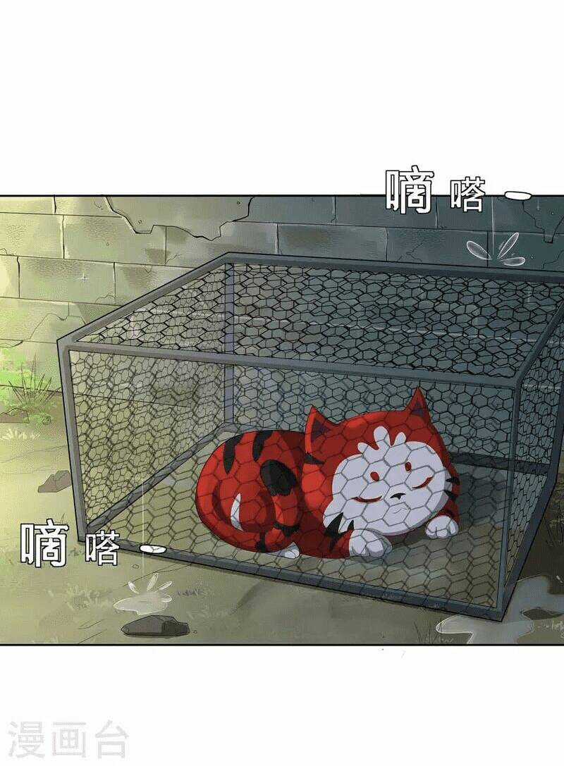 Ta Vốn Là Mèo Chapter 1.5 trang 3