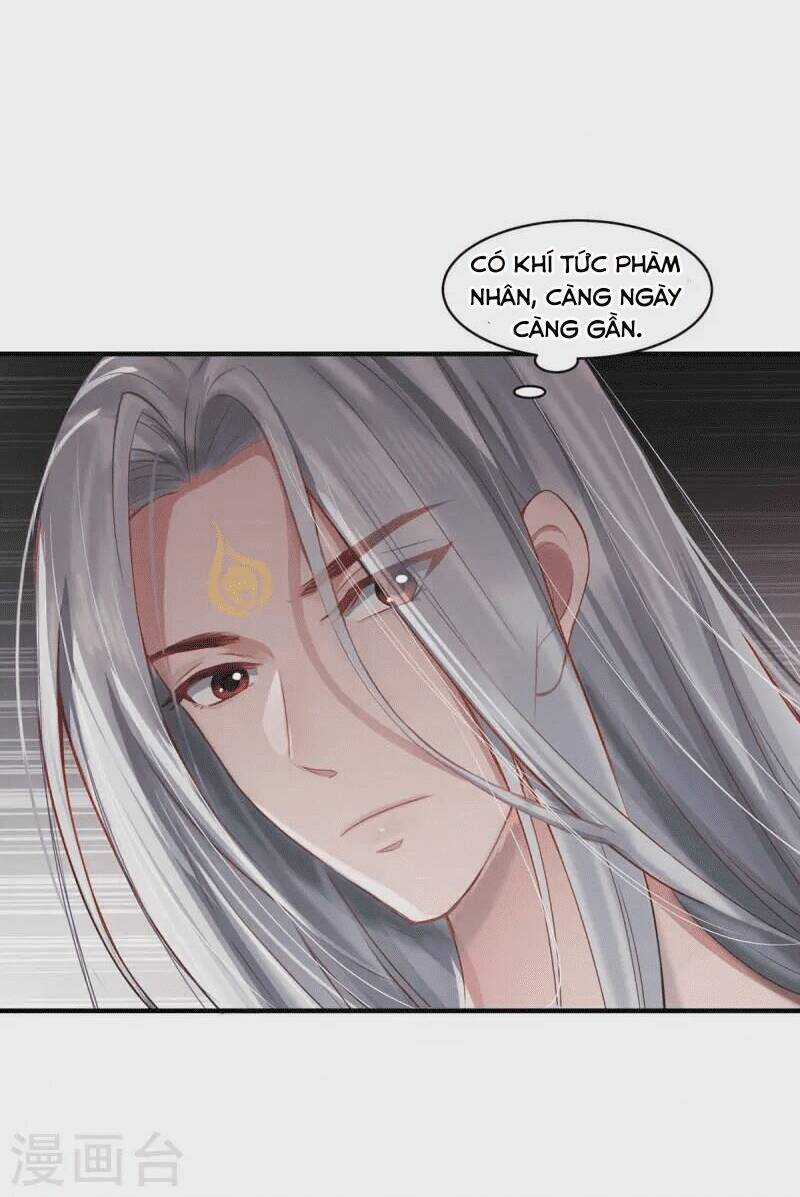 Ta Vốn Là Mèo Chapter 1.5 trang 42