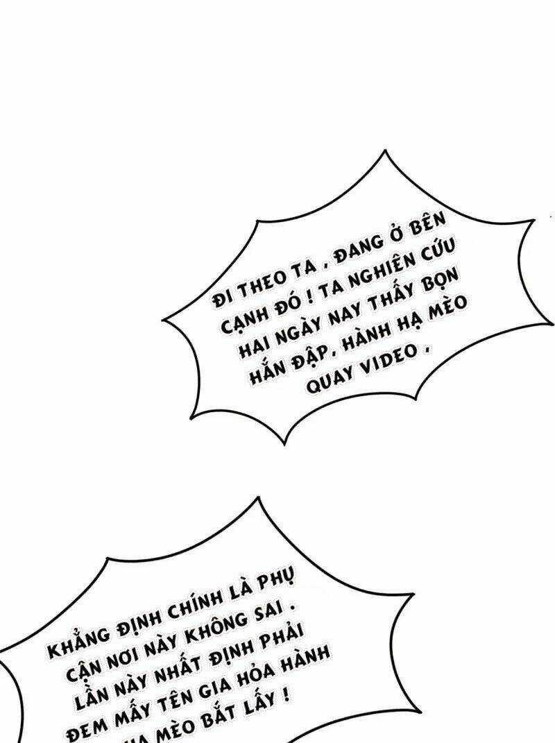 Ta Vốn Là Mèo Chapter 1.5 trang 43