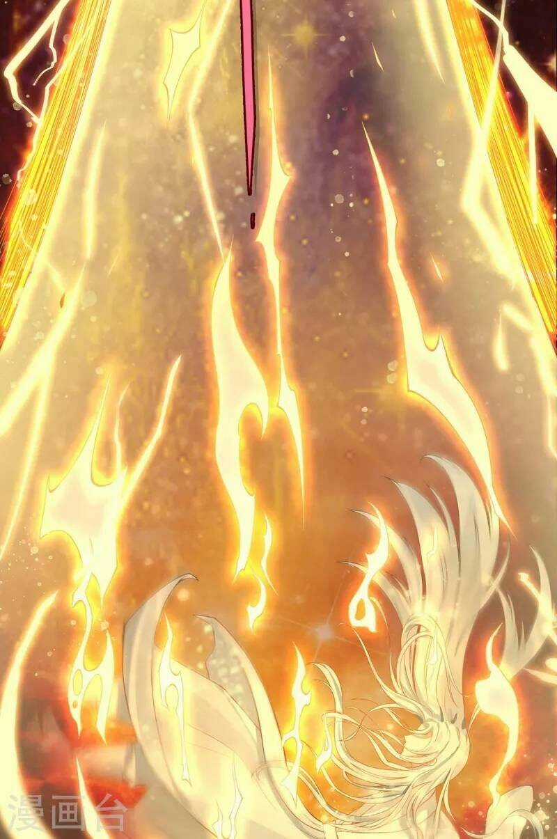 Ta Vốn Là Mèo Chapter 1 trang 49