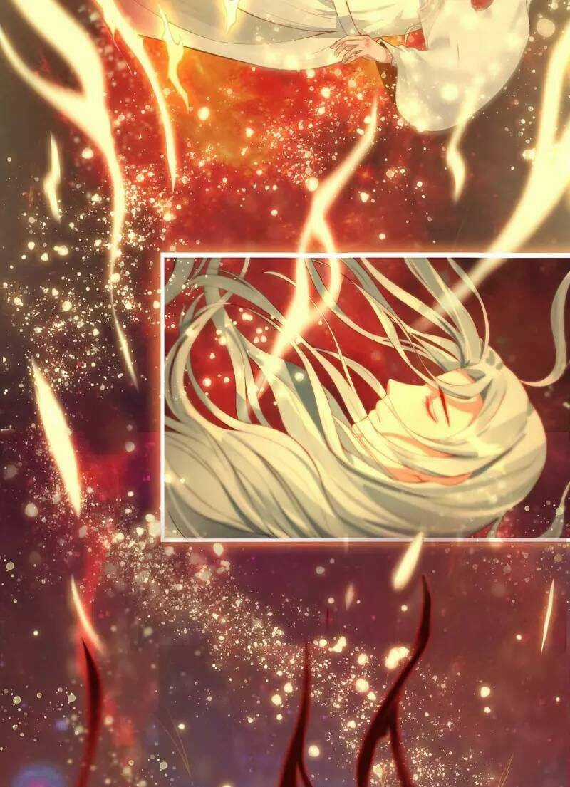 Ta Vốn Là Mèo Chapter 1 trang 50