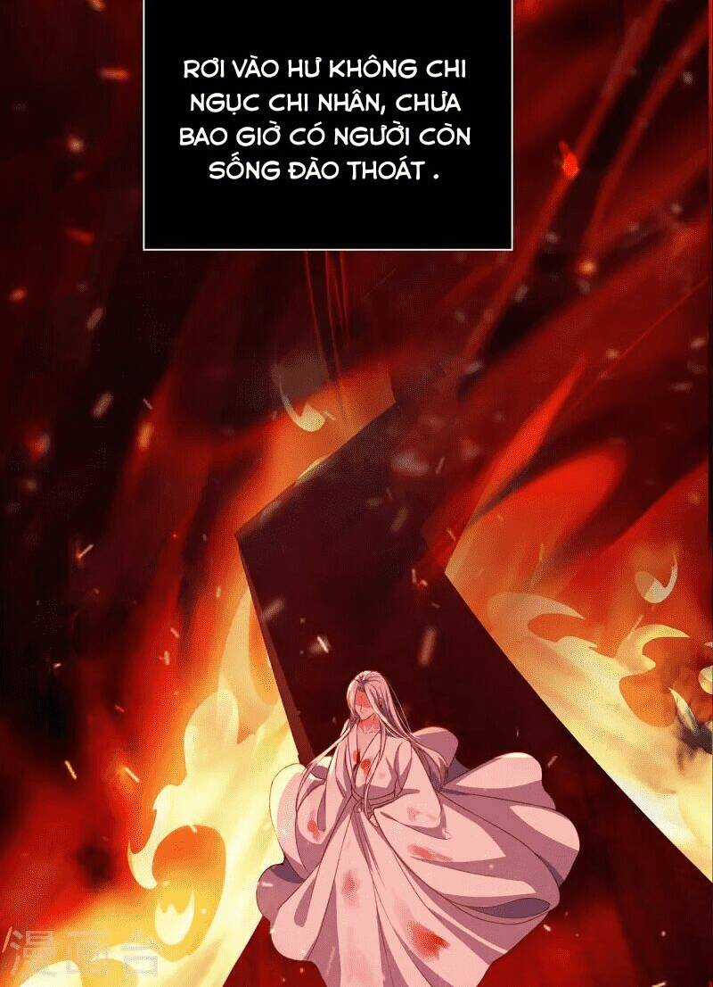 Ta Vốn Là Mèo Chapter 1 trang 53