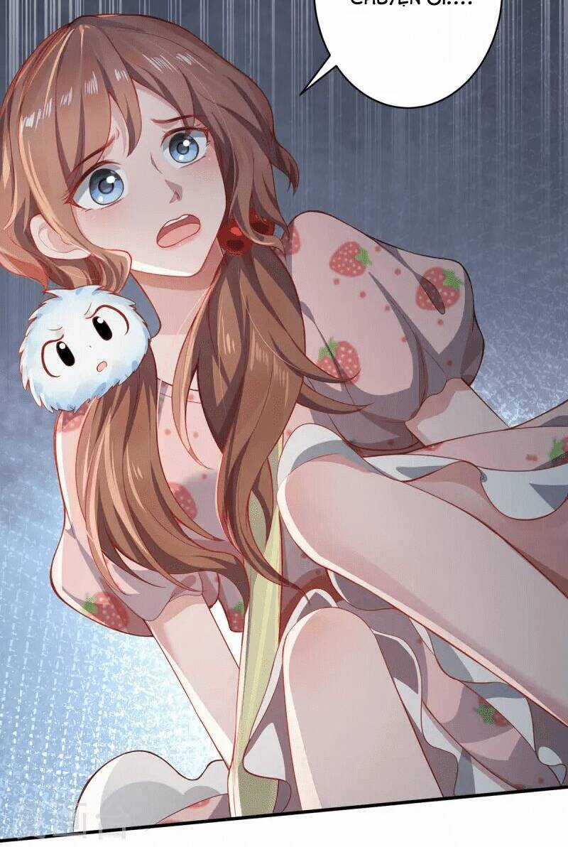 Ta Vốn Là Mèo Chapter 10 trang 3