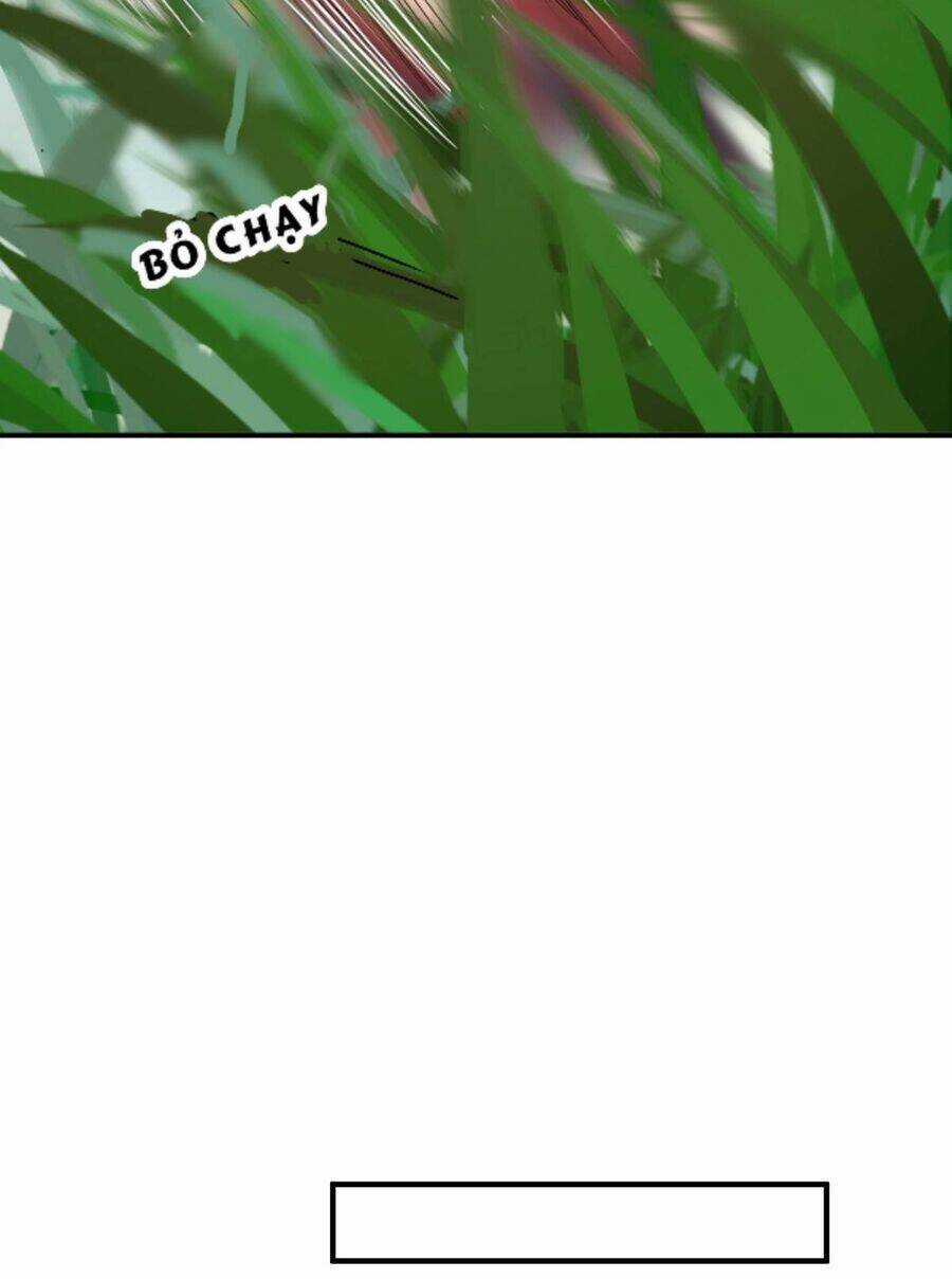 Ta Vốn Là Mèo Chapter 11 trang 4