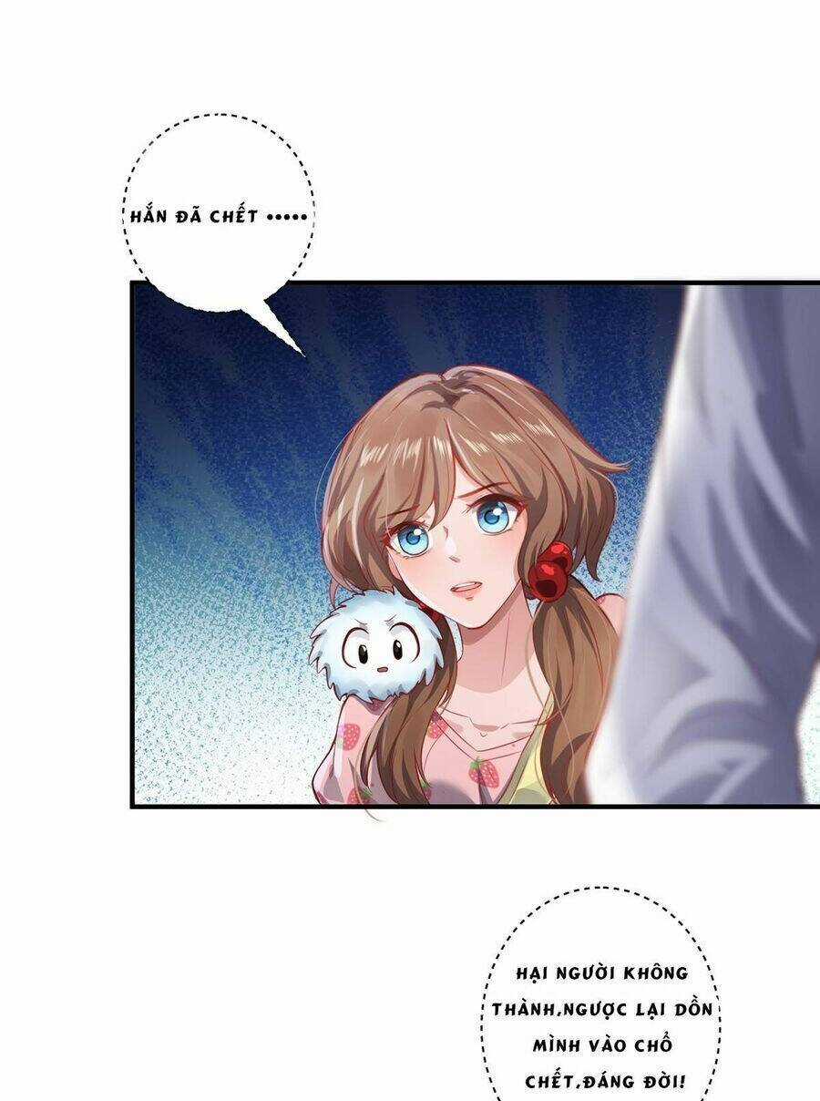 Ta Vốn Là Mèo Chapter 11 trang 5