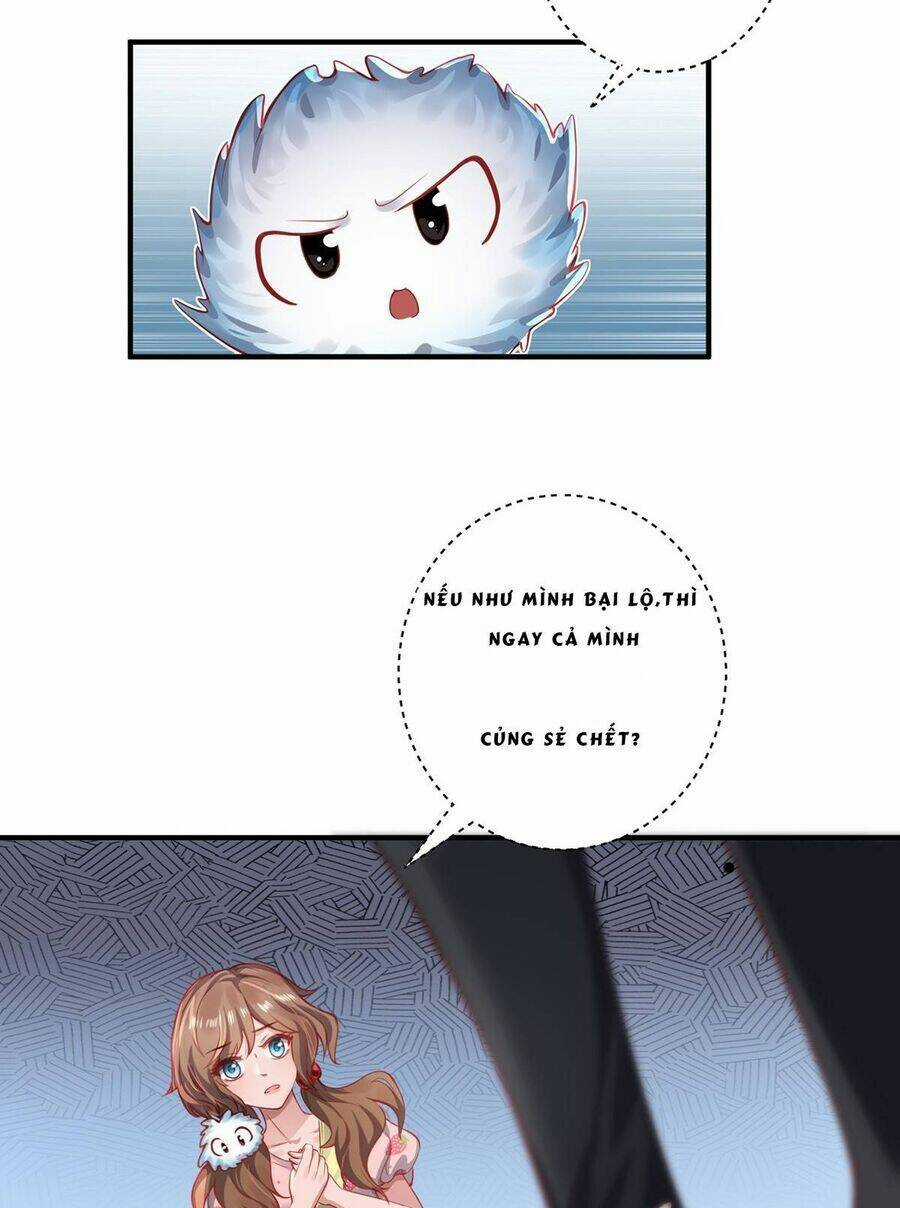 Ta Vốn Là Mèo Chapter 11 trang 6