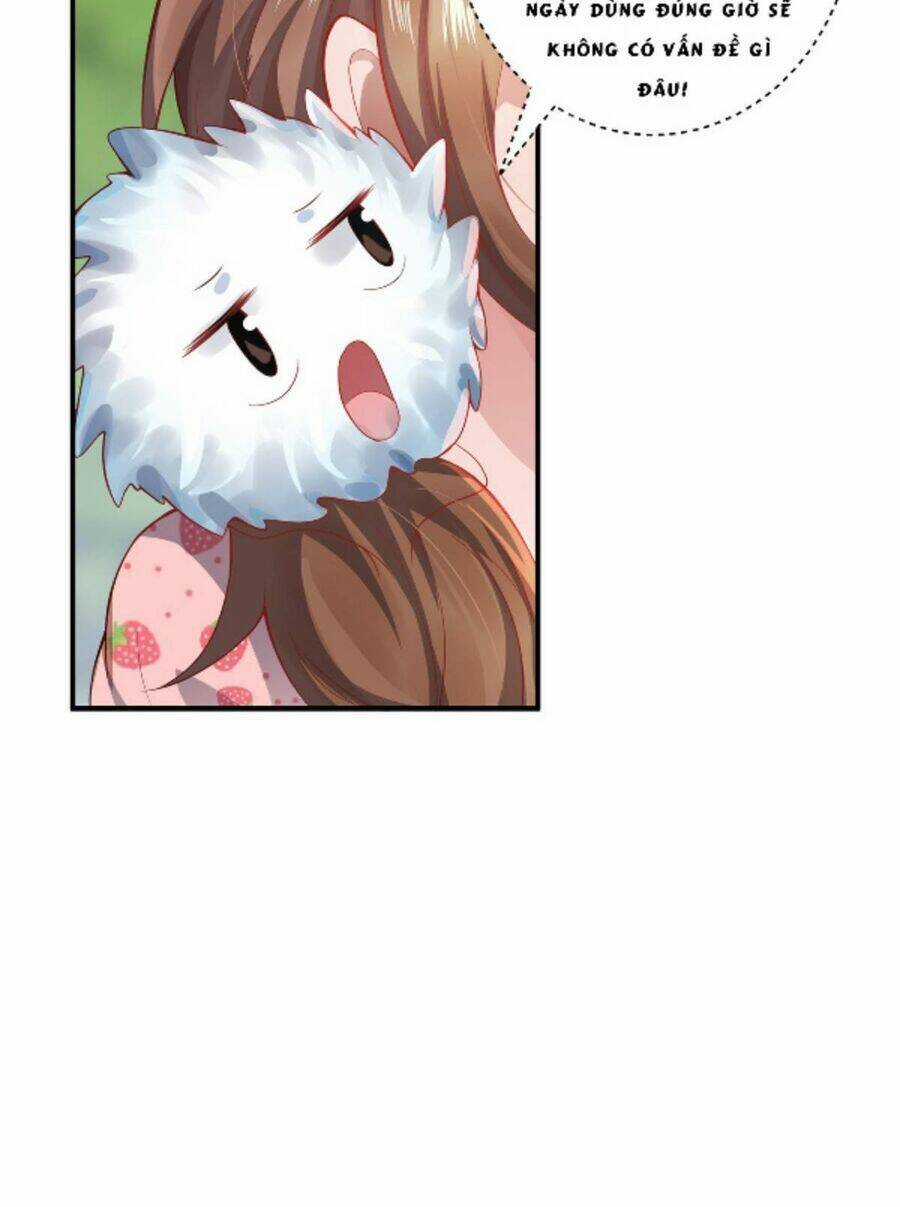 Ta Vốn Là Mèo Chapter 11 trang 8