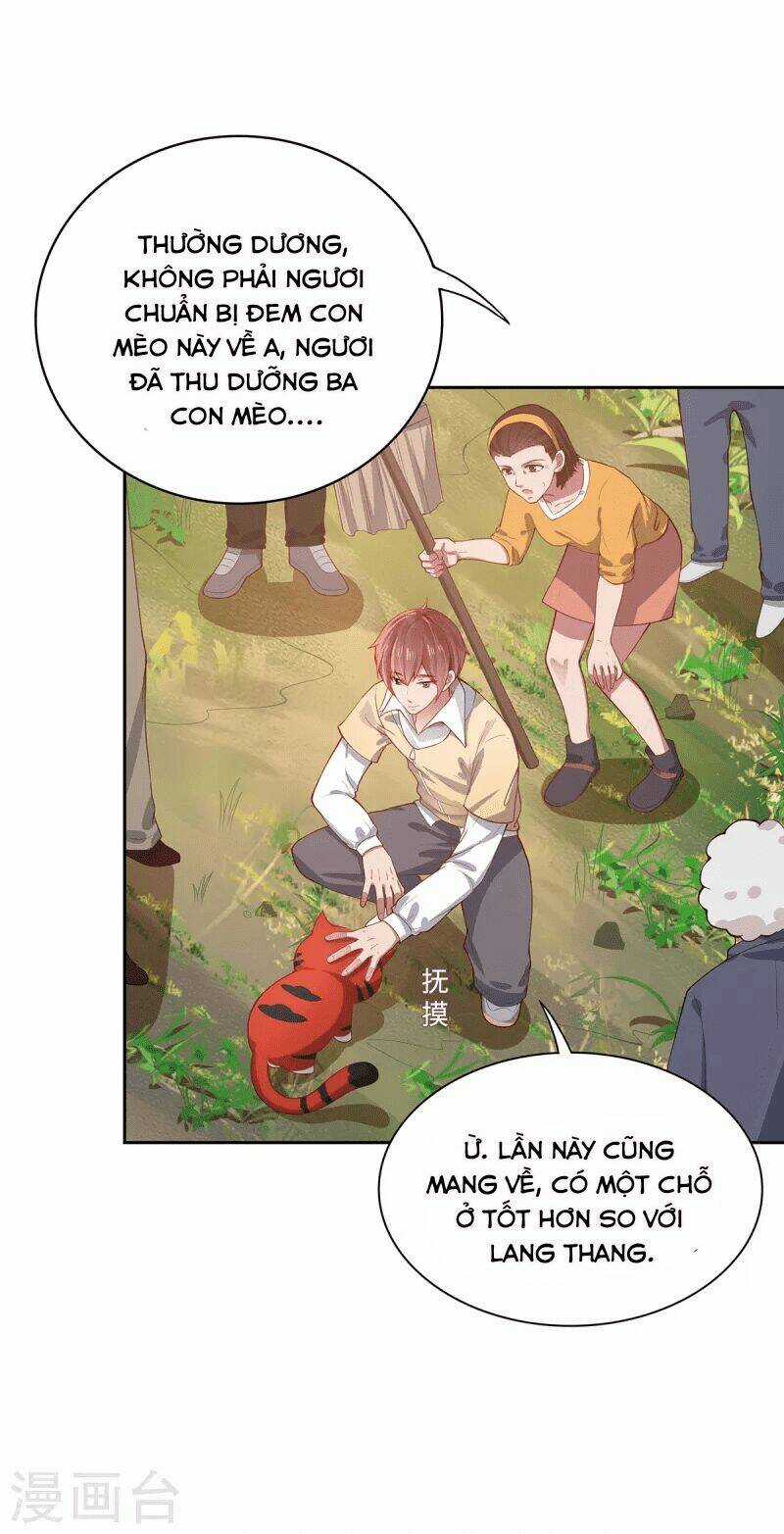 Ta Vốn Là Mèo Chapter 2 trang 10