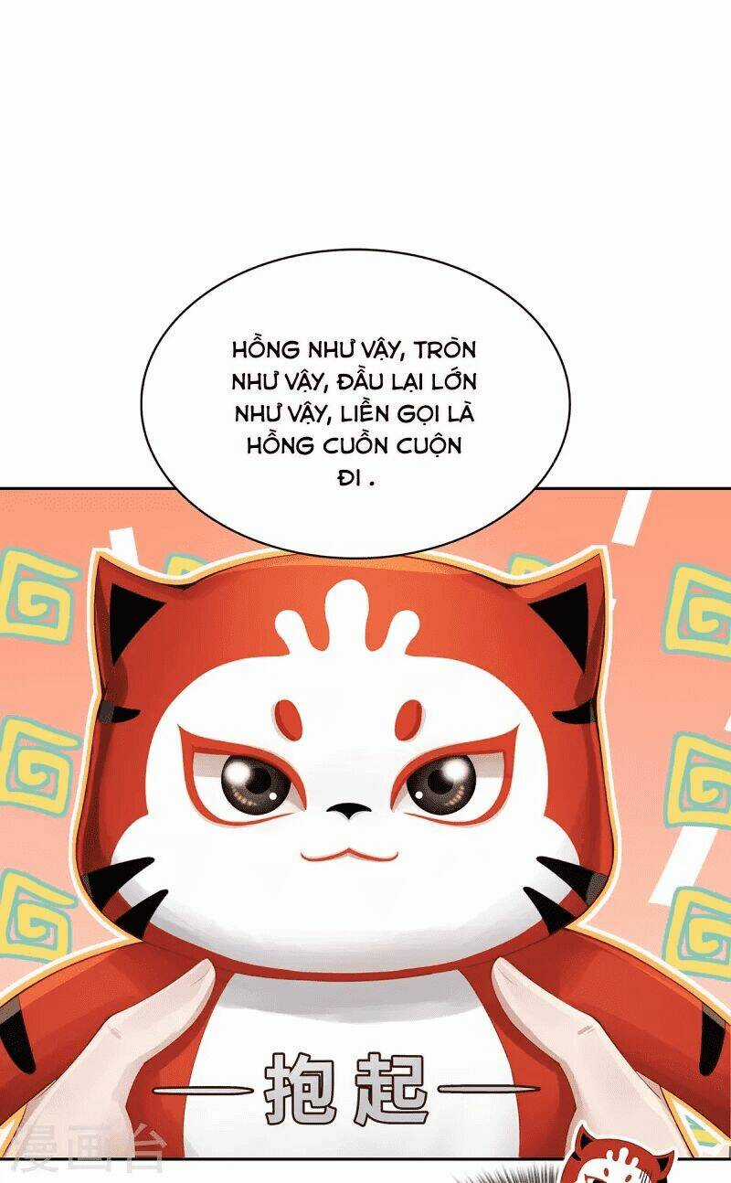 Ta Vốn Là Mèo Chapter 2 trang 15