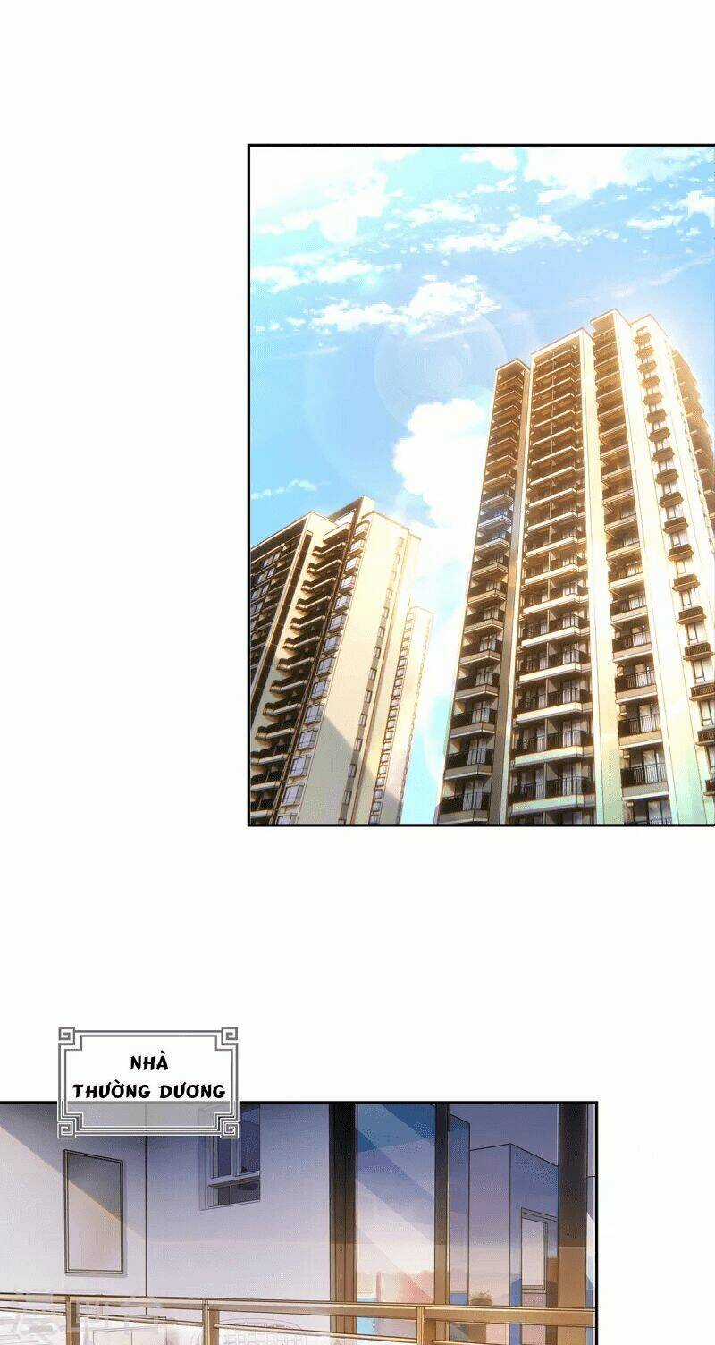 Ta Vốn Là Mèo Chapter 2 trang 21