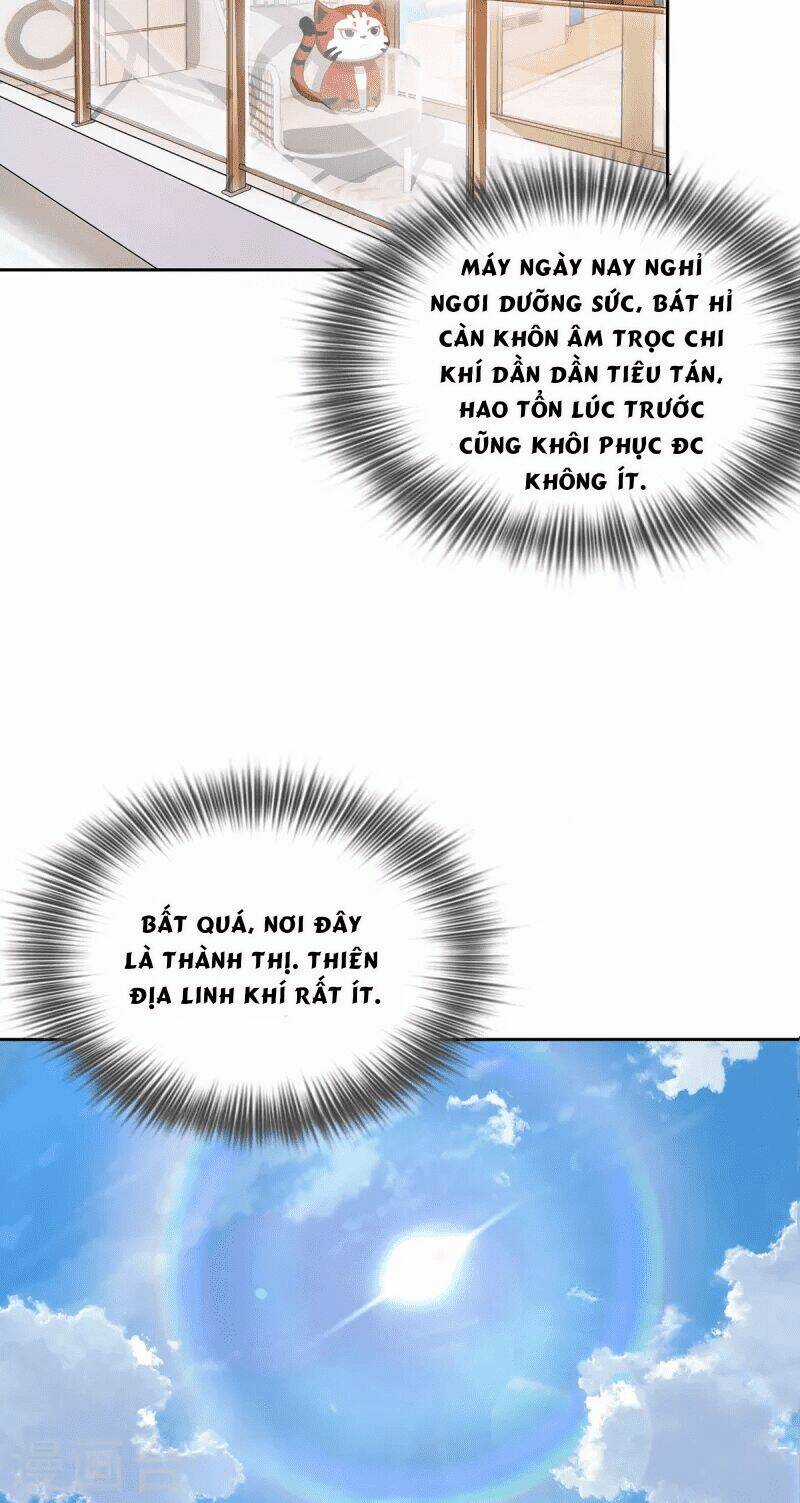 Ta Vốn Là Mèo Chapter 2 trang 22