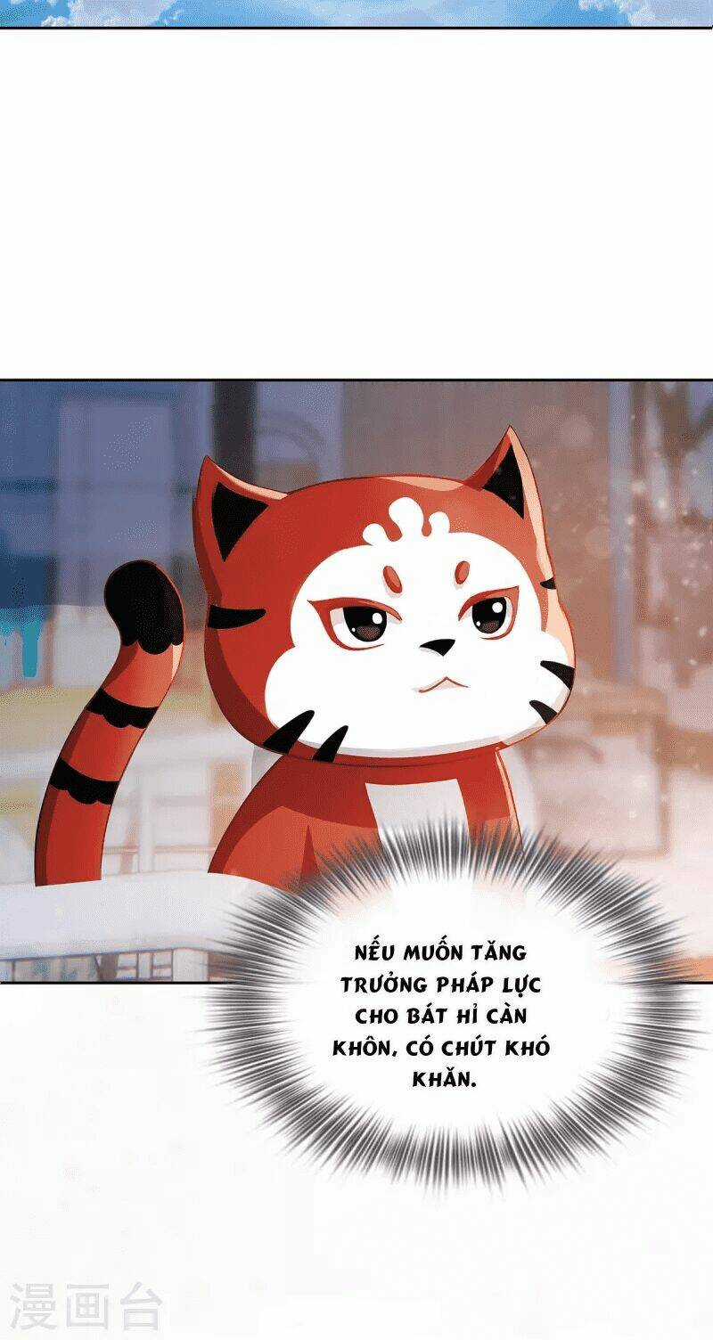 Ta Vốn Là Mèo Chapter 2 trang 23