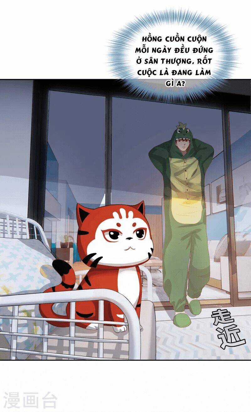 Ta Vốn Là Mèo Chapter 2 trang 24