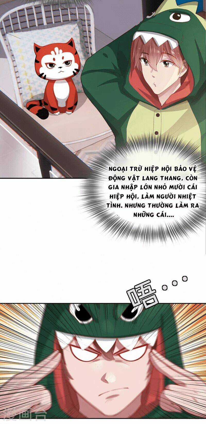 Ta Vốn Là Mèo Chapter 2 trang 27