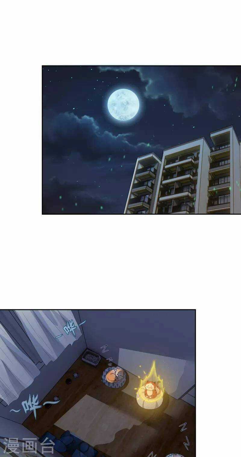 Ta Vốn Là Mèo Chapter 2 trang 35