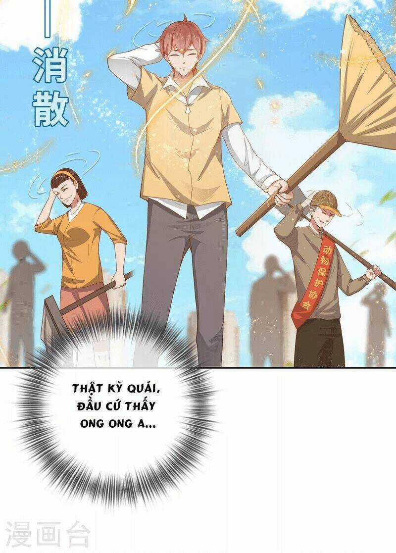 Ta Vốn Là Mèo Chapter 2 trang 4