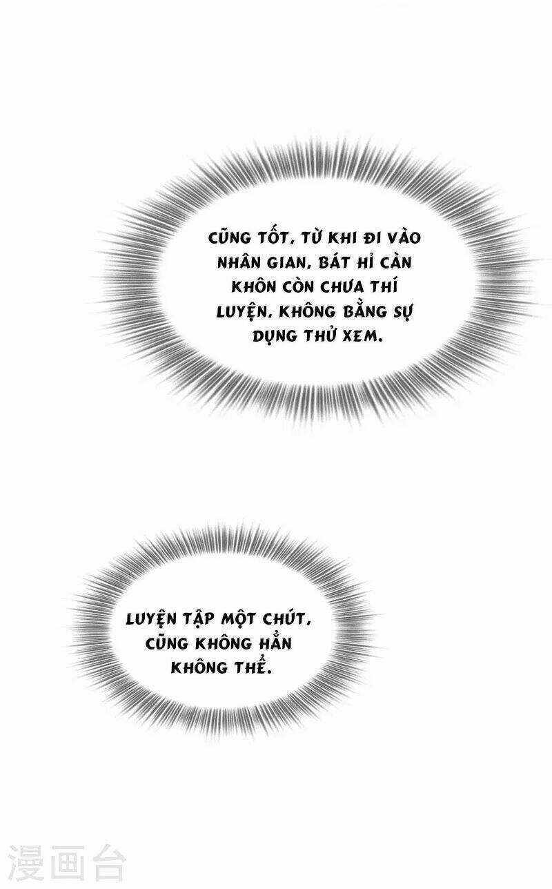 Ta Vốn Là Mèo Chapter 2 trang 42