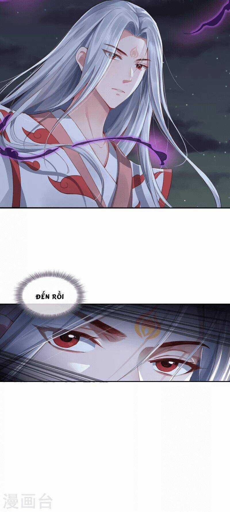 Ta Vốn Là Mèo Chapter 2 trang 45