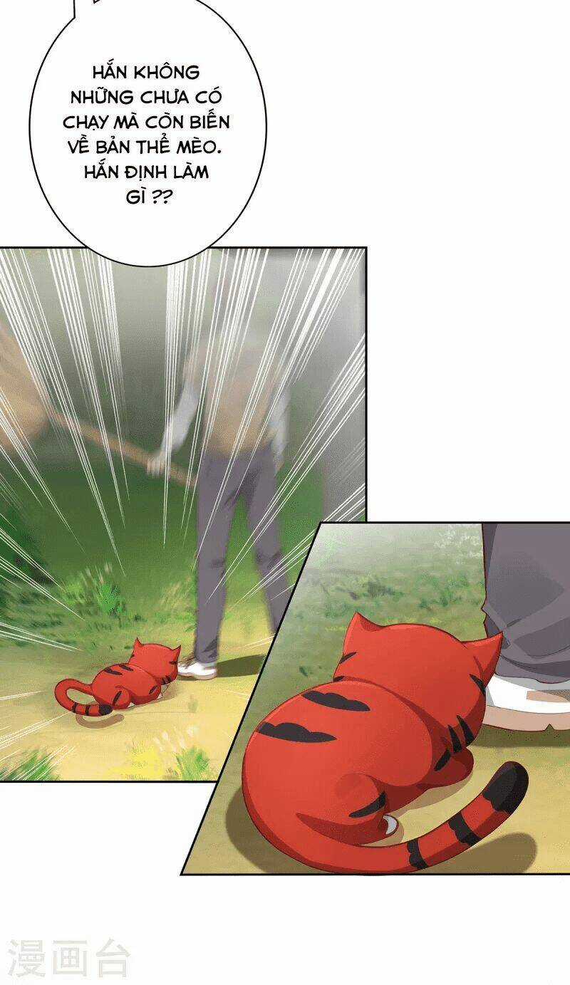 Ta Vốn Là Mèo Chapter 2 trang 7