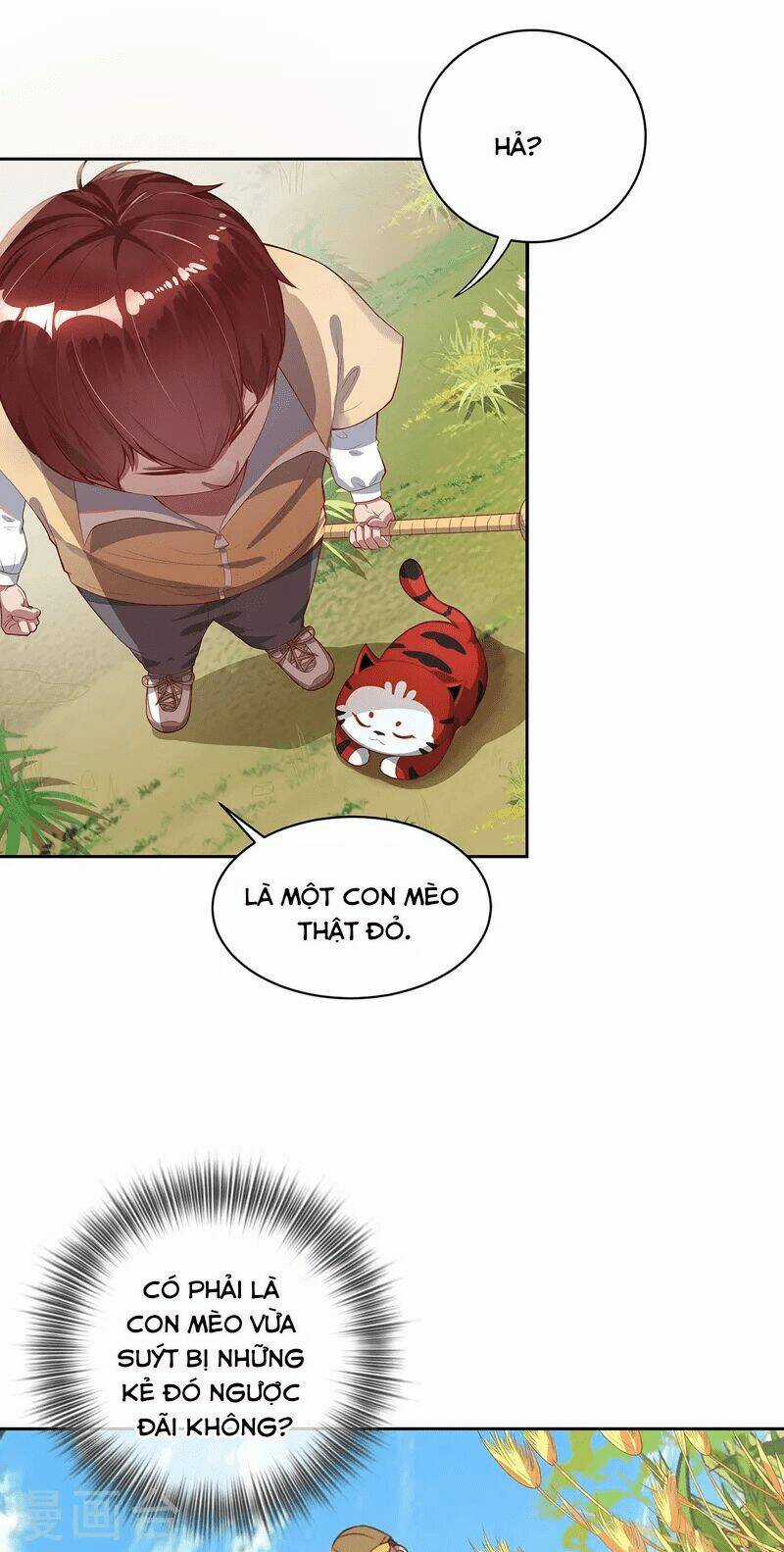 Ta Vốn Là Mèo Chapter 2 trang 8