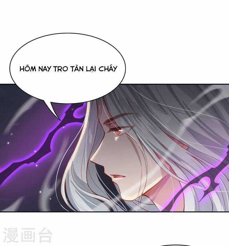 Ta Vốn Là Mèo Chapter 3 trang 4