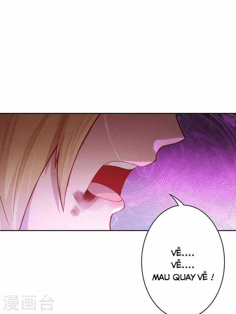 Ta Vốn Là Mèo Chapter 4 trang 17