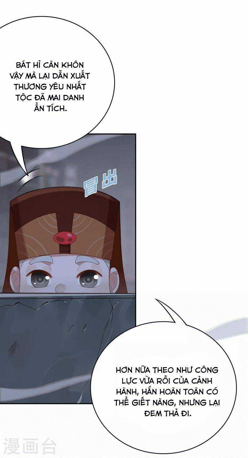 Ta Vốn Là Mèo Chapter 4 trang 28