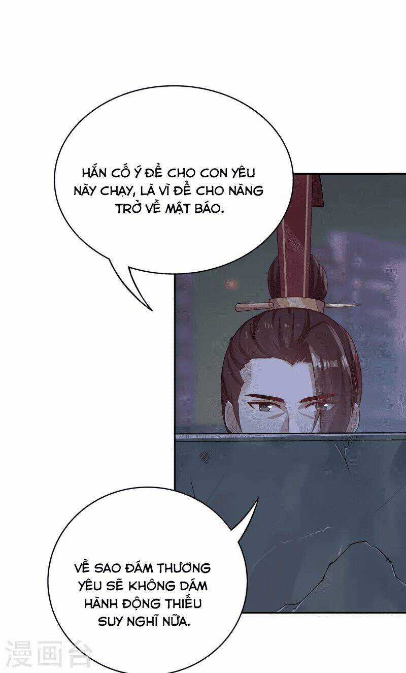Ta Vốn Là Mèo Chapter 4 trang 29