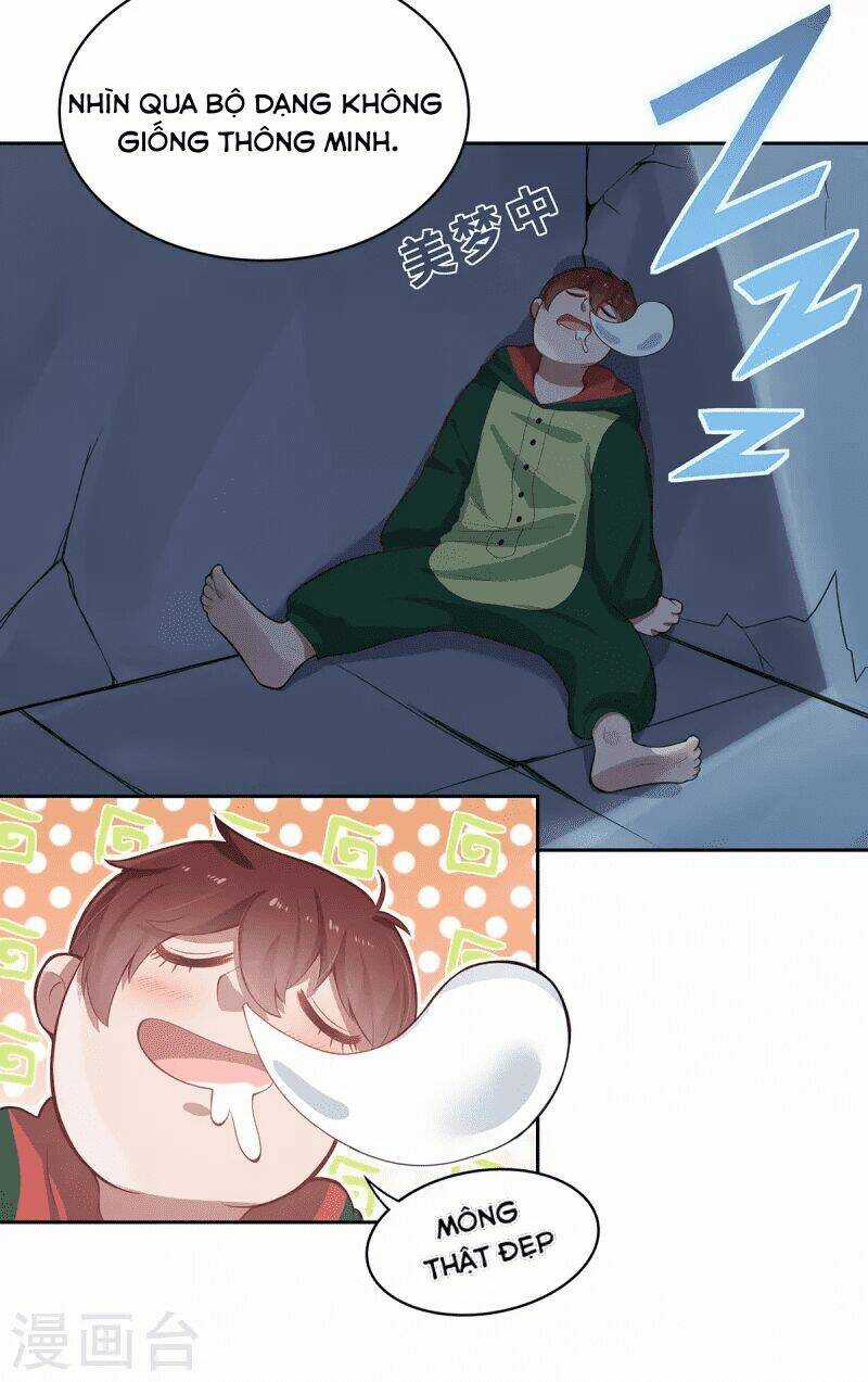 Ta Vốn Là Mèo Chapter 4 trang 32