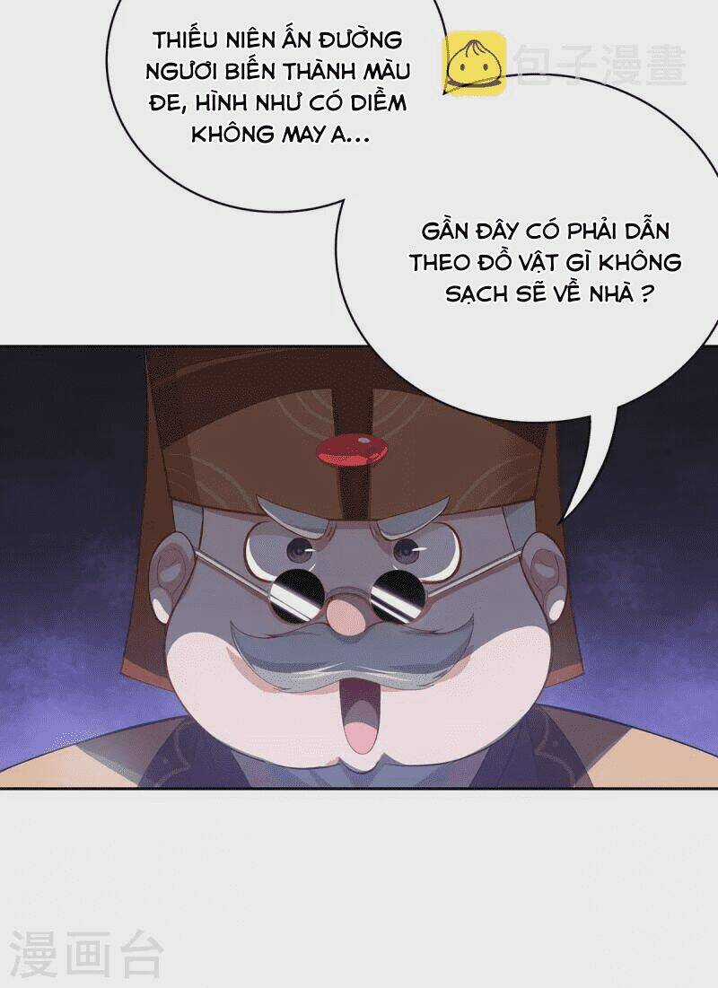 Ta Vốn Là Mèo Chapter 4 trang 48