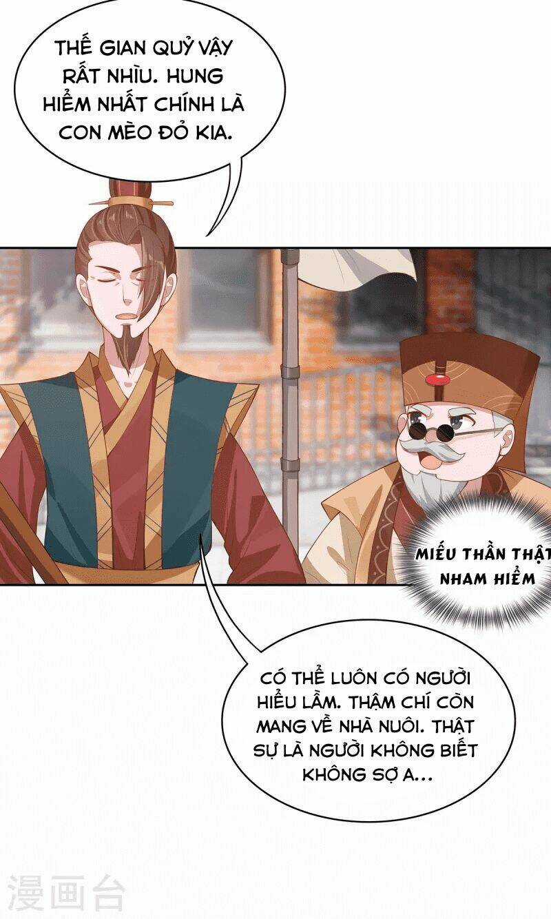 Ta Vốn Là Mèo Chapter 4 trang 51