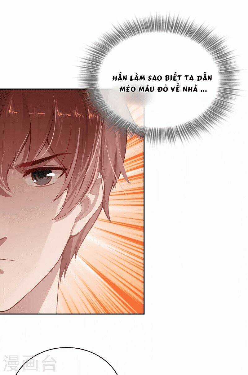 Ta Vốn Là Mèo Chapter 4 trang 52