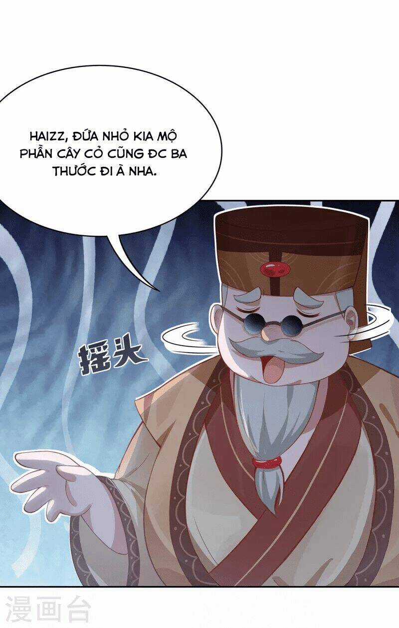 Ta Vốn Là Mèo Chapter 4 trang 54