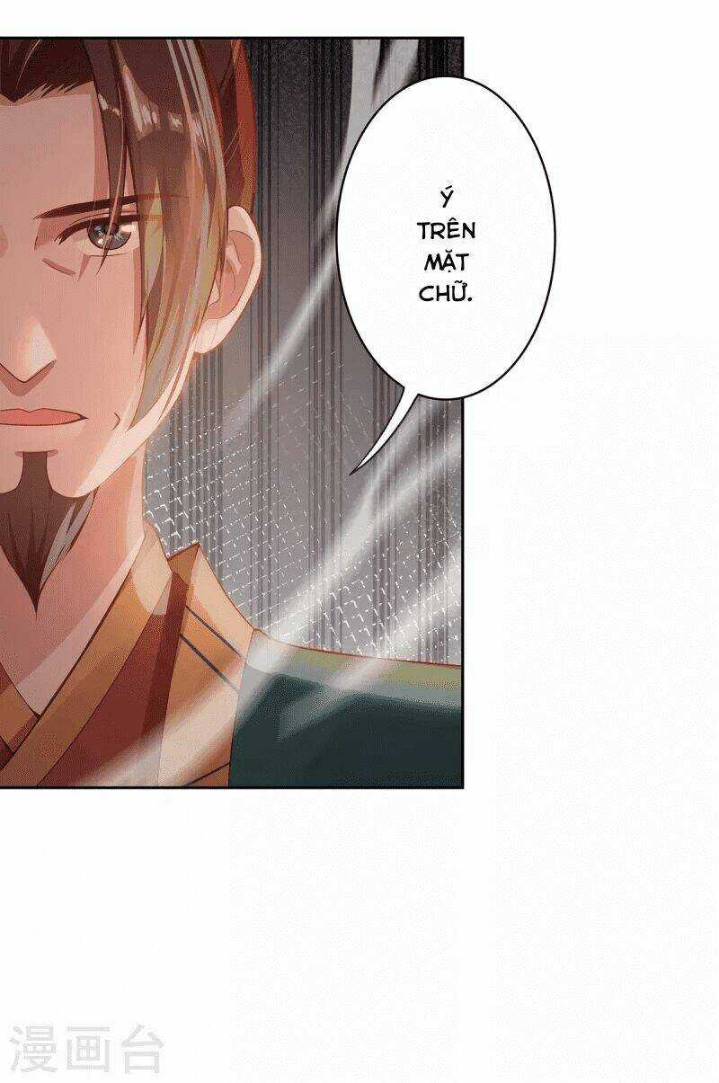 Ta Vốn Là Mèo Chapter 4 trang 71