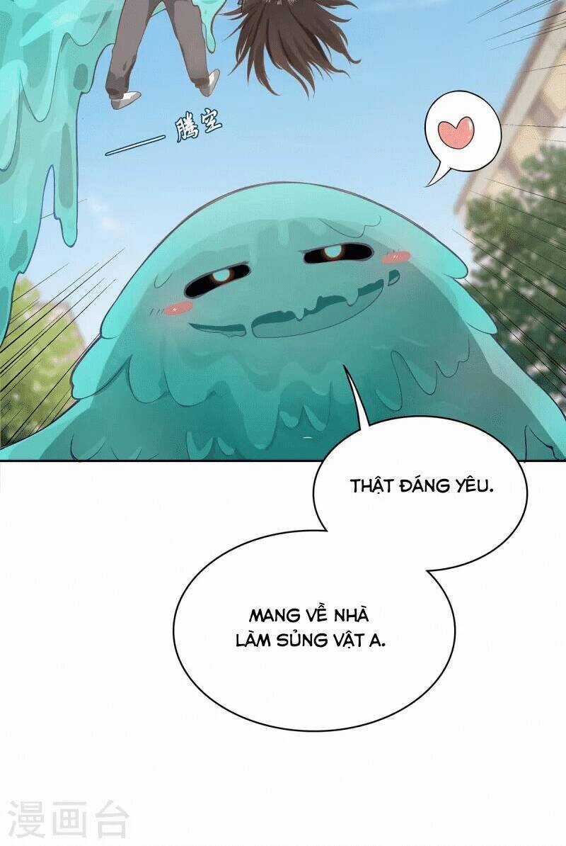 Ta Vốn Là Mèo Chapter 5 trang 11