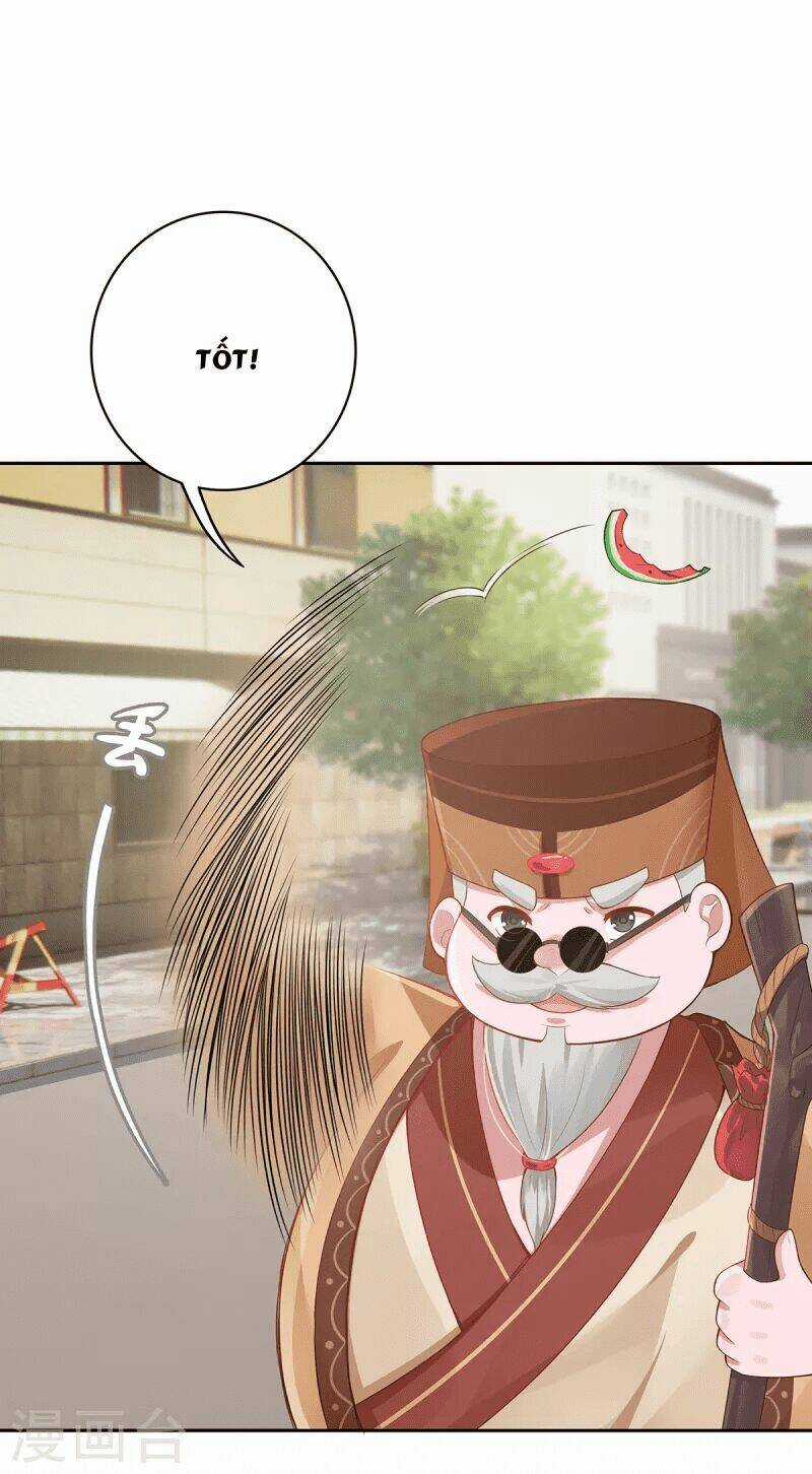 Ta Vốn Là Mèo Chapter 5 trang 17