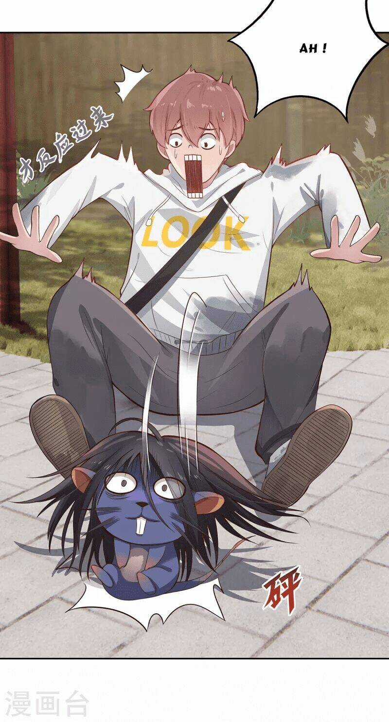 Ta Vốn Là Mèo Chapter 5 trang 25