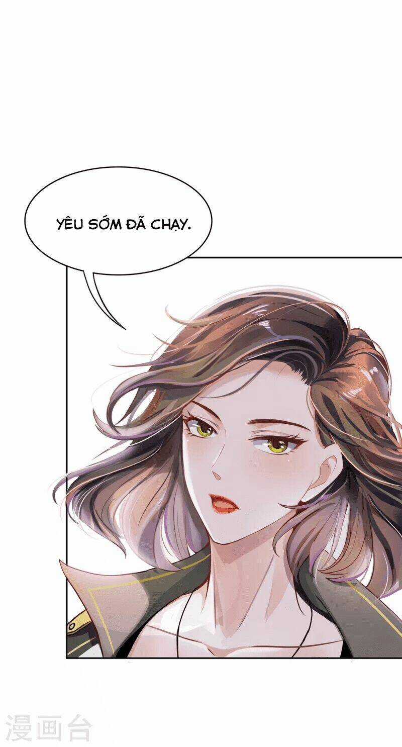 Ta Vốn Là Mèo Chapter 5 trang 44