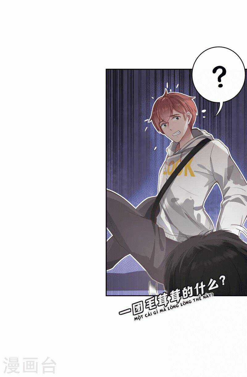 Ta Vốn Là Mèo Chapter 5 trang 6