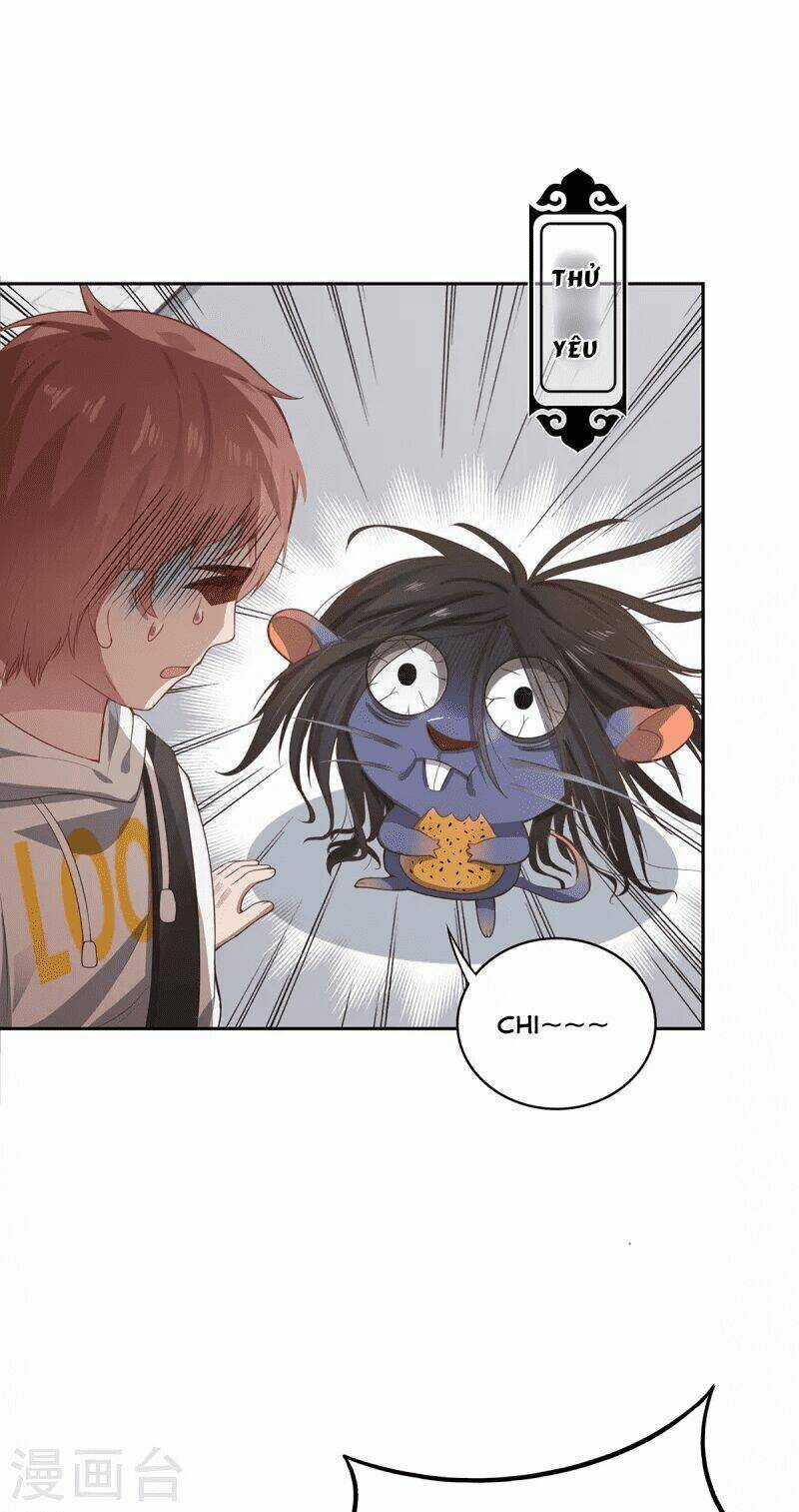 Ta Vốn Là Mèo Chapter 5 trang 7