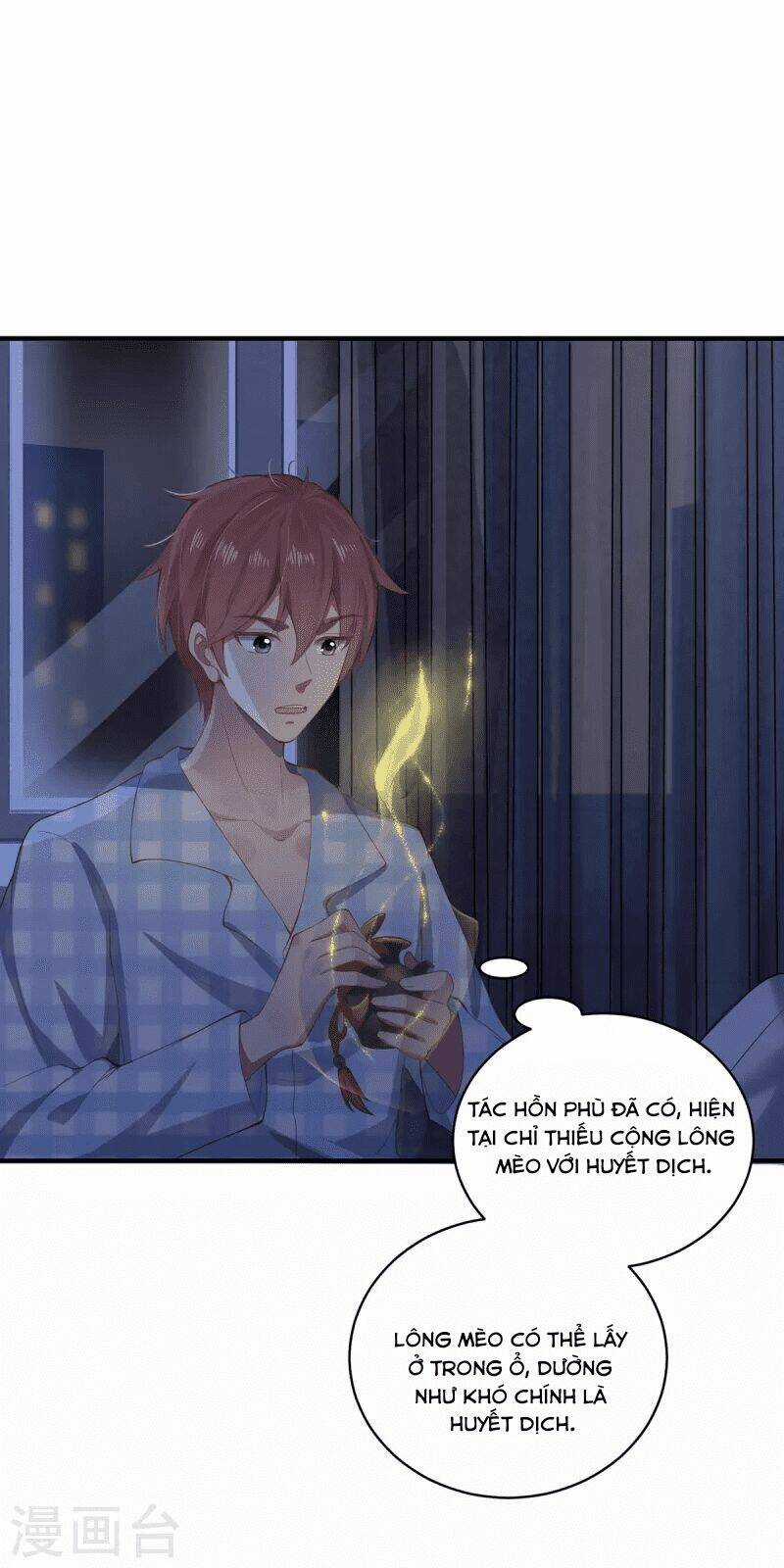 Ta Vốn Là Mèo Chapter 6 trang 29