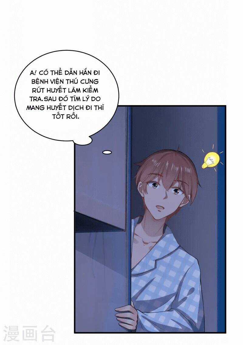 Ta Vốn Là Mèo Chapter 6 trang 31